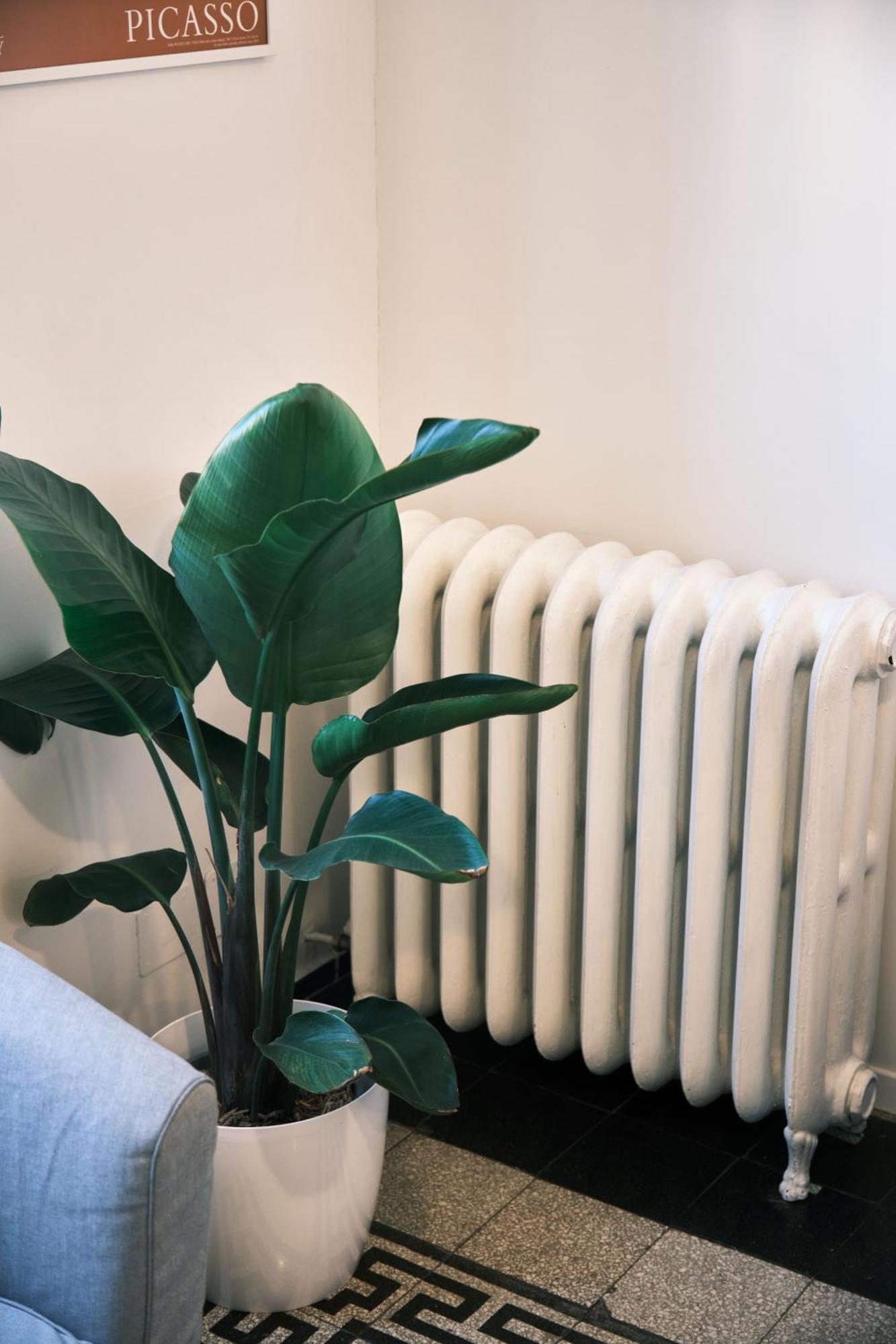 Carolina Trastevere House Apartamento *